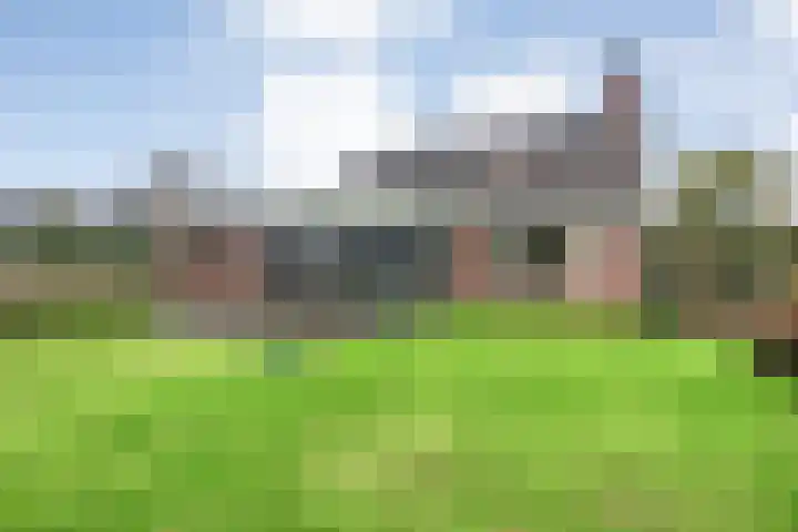 Goudplevier 9 Raalte thumbnail 6