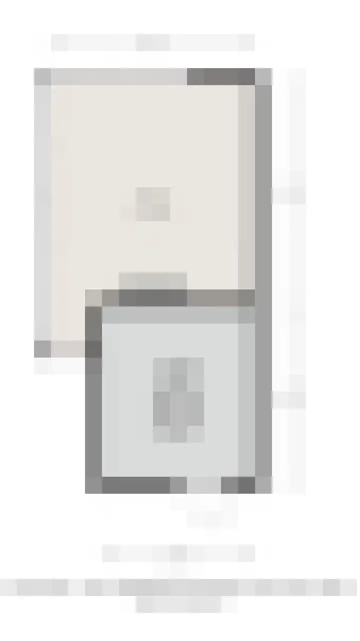 Goudplevier 9 Raalte thumbnail 60