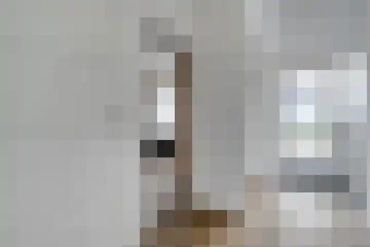Goudplevier 9 Raalte thumbnail 8