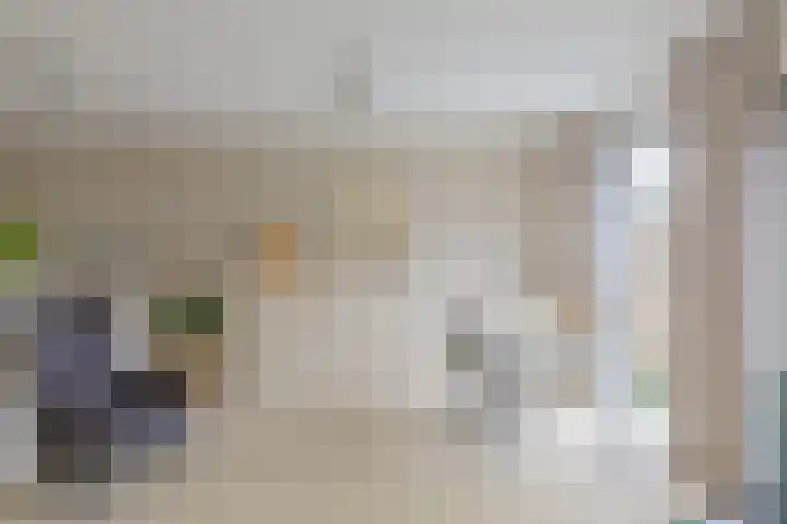 Goudplevierhof 15 Middelburg thumbnail 14