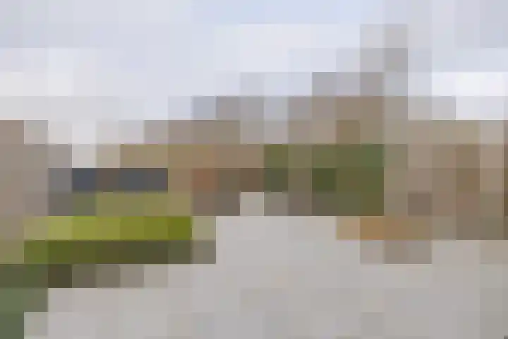 Goudplevierhof 15 Middelburg thumbnail 23
