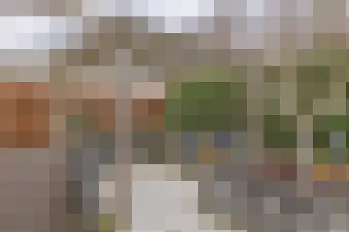 Goudplevierhof 15 Middelburg thumbnail 24