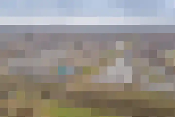 Goudplevierhof 15 Middelburg thumbnail 5