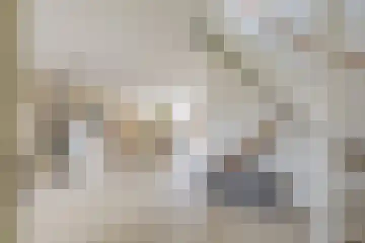 Goudplevierhof 15 Middelburg thumbnail 9