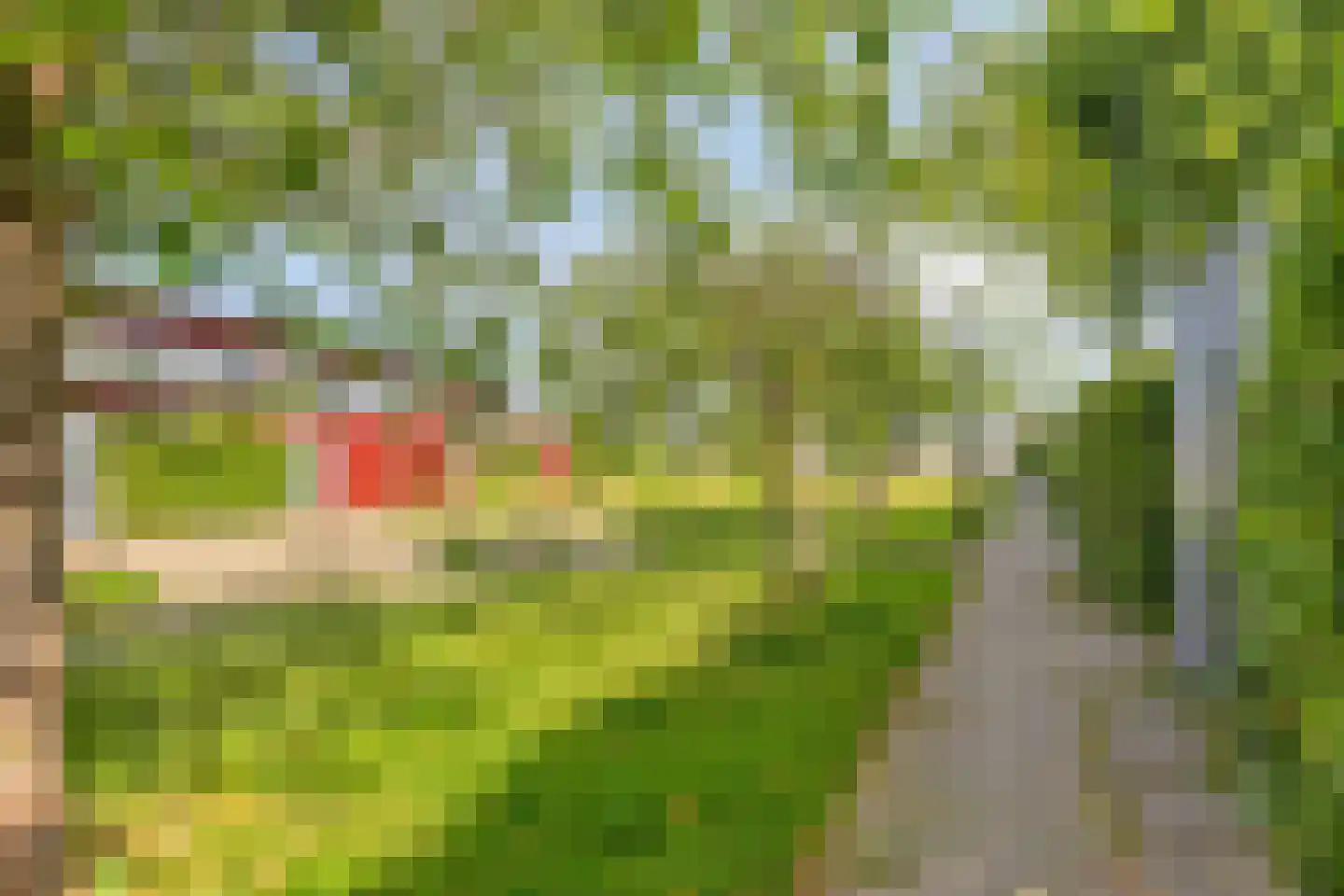 Goudplevierhof 5 Middelburg thumbnail 33