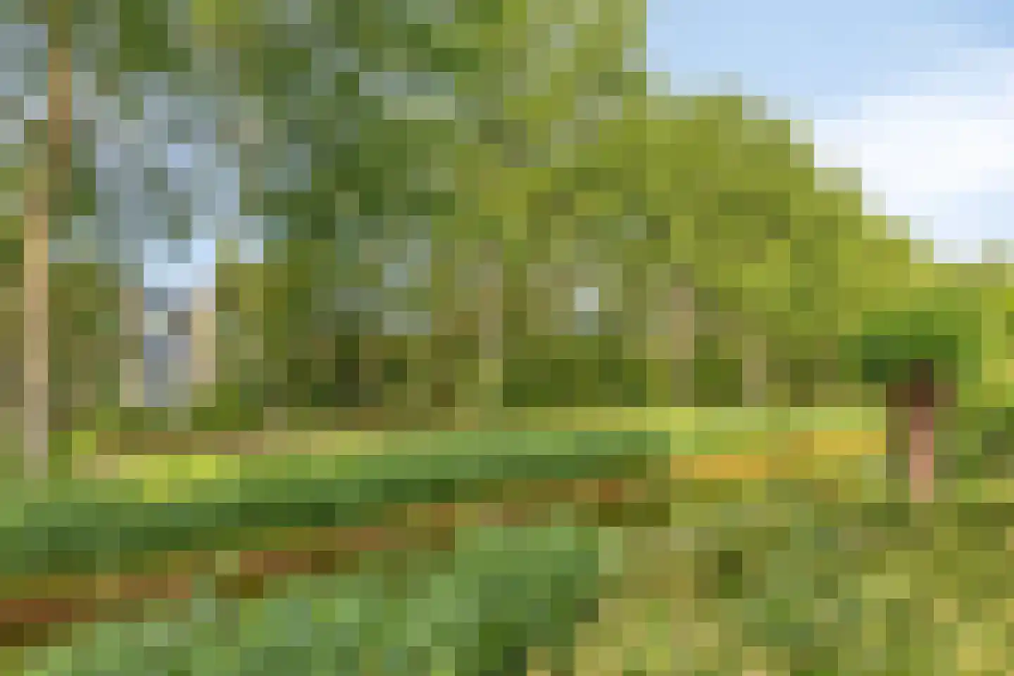 Goudplevierhof 5 Middelburg thumbnail 39