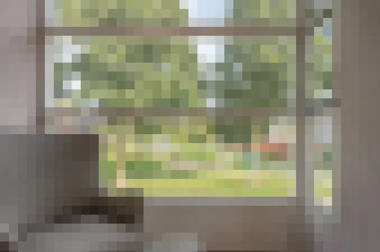 Goudplevierstraat 12 Zwolle thumbnail 10