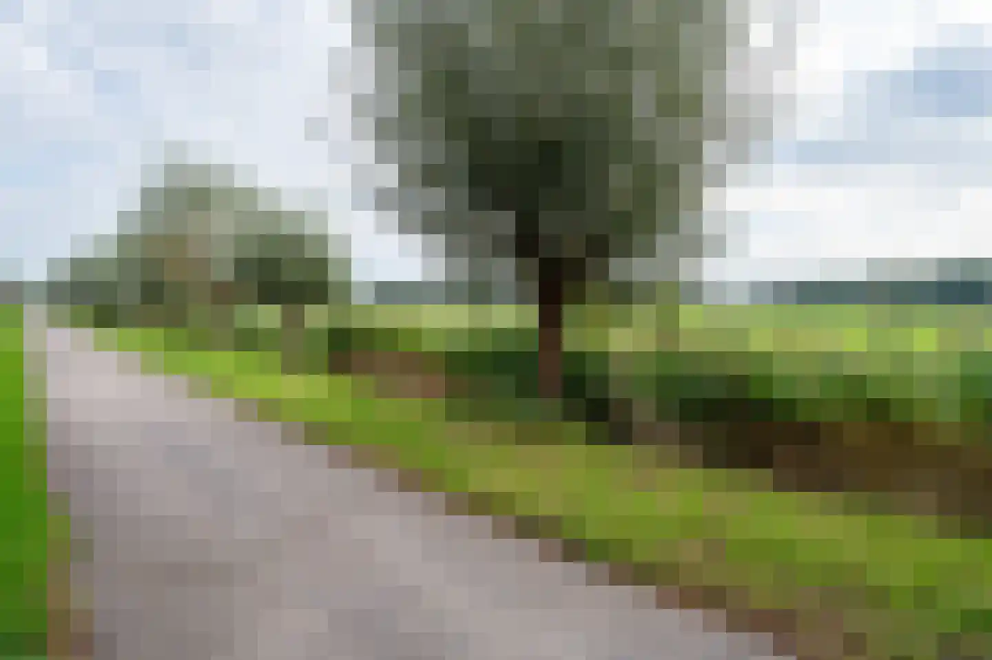 Goudplevierstraat 12 Zwolle thumbnail 31