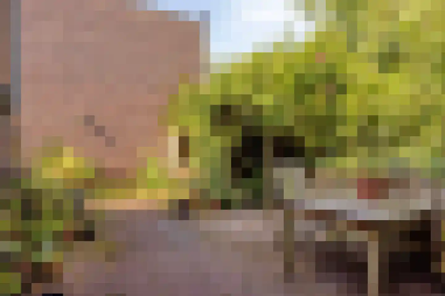 Goudplevierstraat 190 Zwolle thumbnail 26