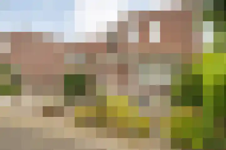 Goudplevierstraat 192 Zwolle thumbnail 7