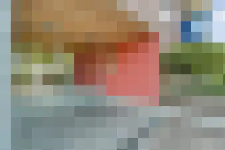 Goudplevierstraat 204 Zwolle thumbnail 5