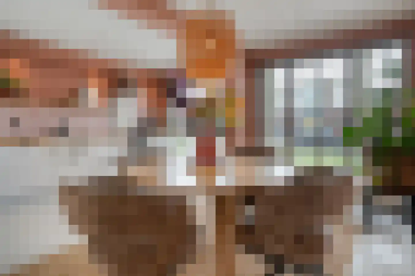 Goudplevierstraat 41 Zwolle thumbnail 18