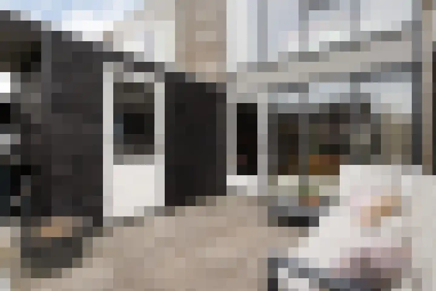 Goudplevierstraat 41 Zwolle thumbnail 37
