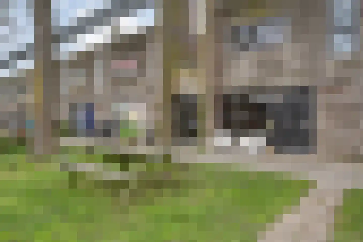 Goudplevierstraat 41 Zwolle thumbnail 4