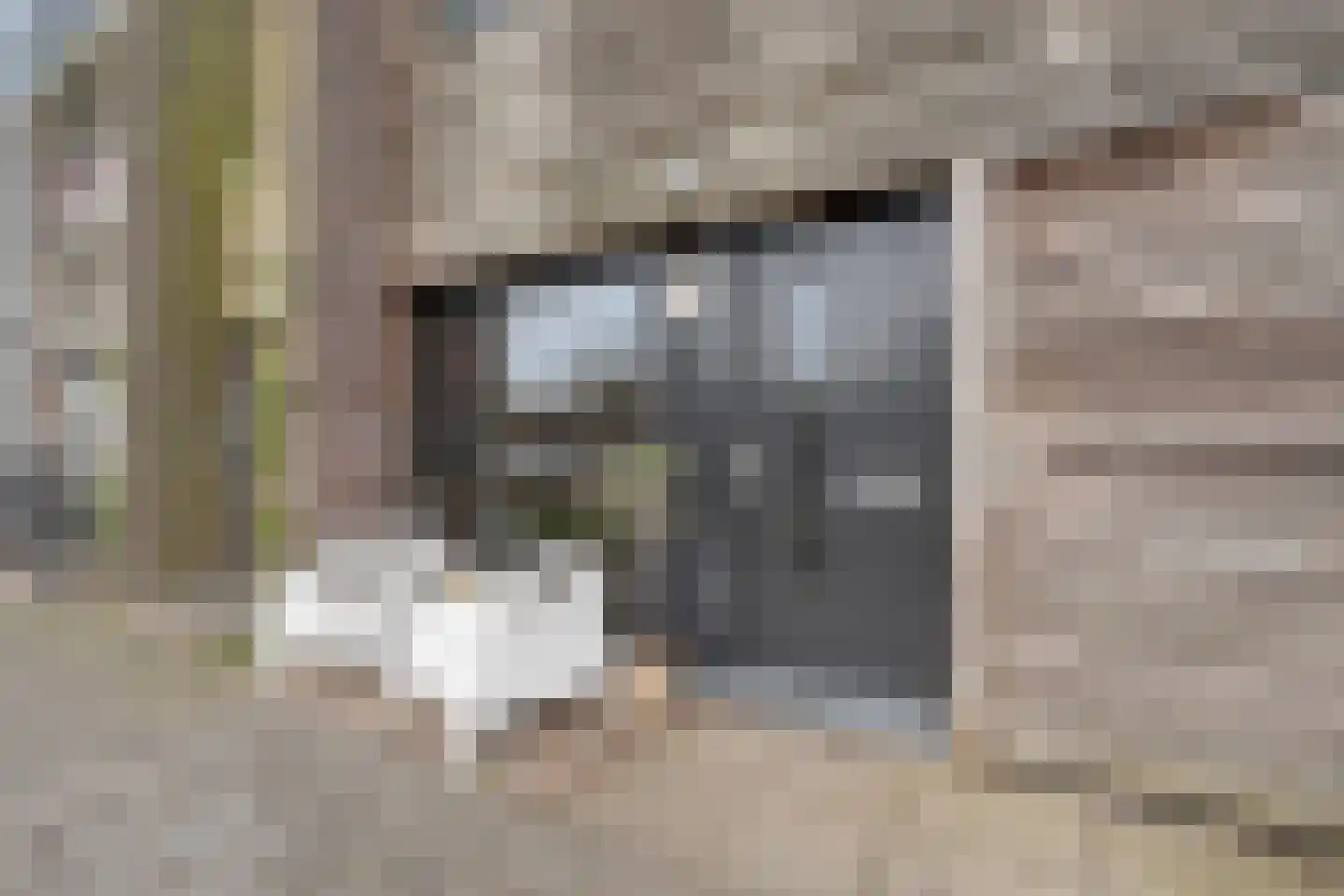 Goudplevierstraat 41 Zwolle thumbnail 6