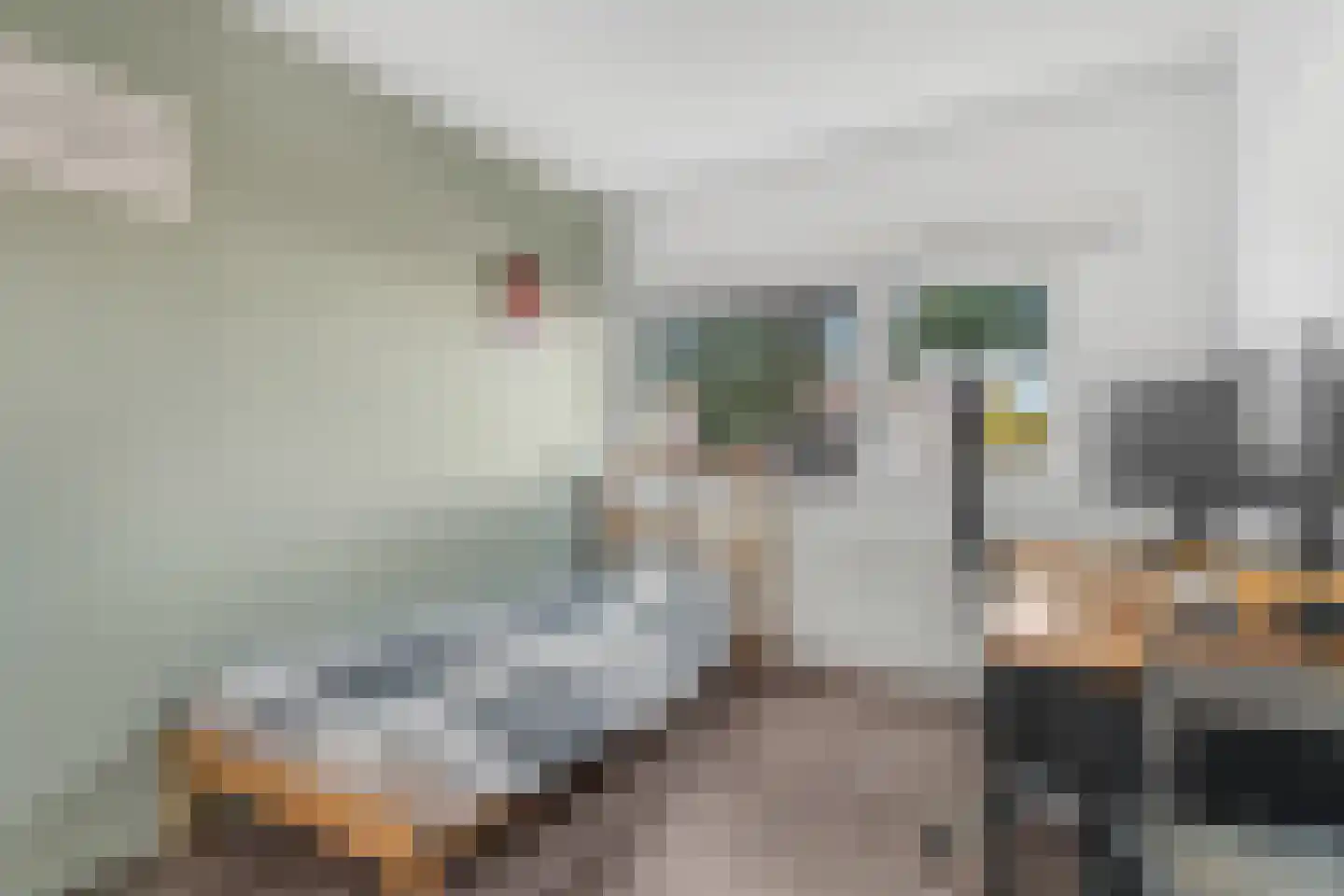 Goudplevierstraat 47 Zwolle thumbnail 20