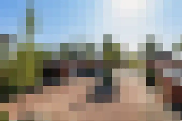 Goudplevierstraat 99 Zwolle thumbnail 32