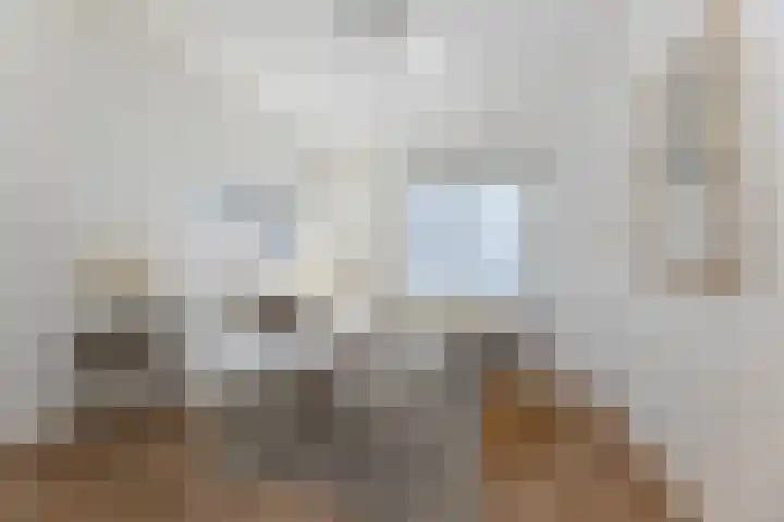 Goudplevierstraat 99 Zwolle thumbnail 4