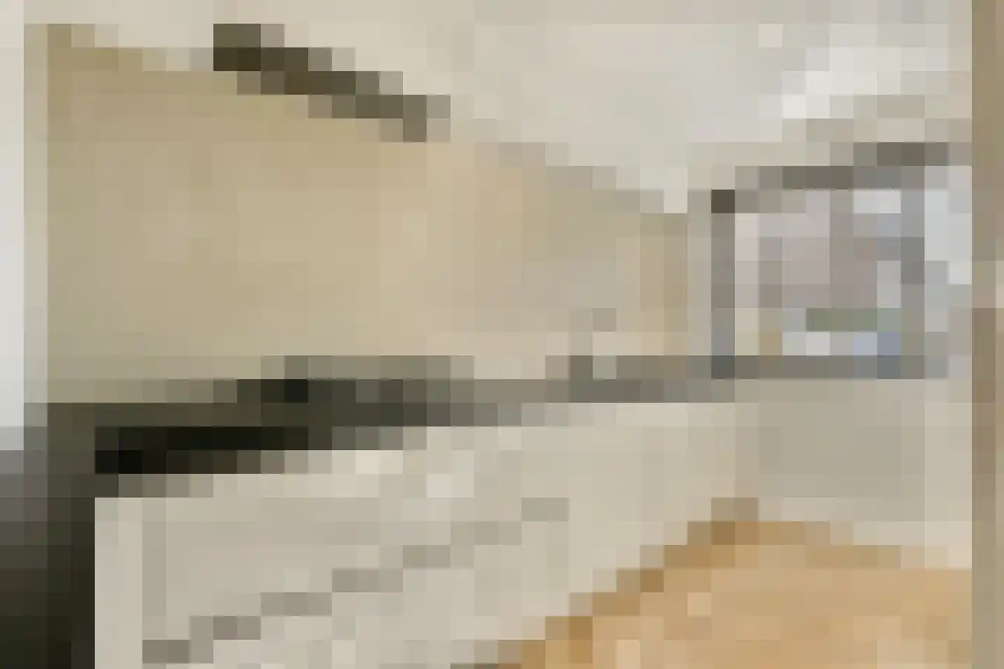 Goudpluvier 11 Landsmeer thumbnail 10