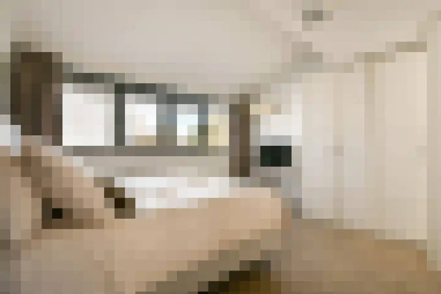 Goudpluvier 11 Landsmeer thumbnail 19