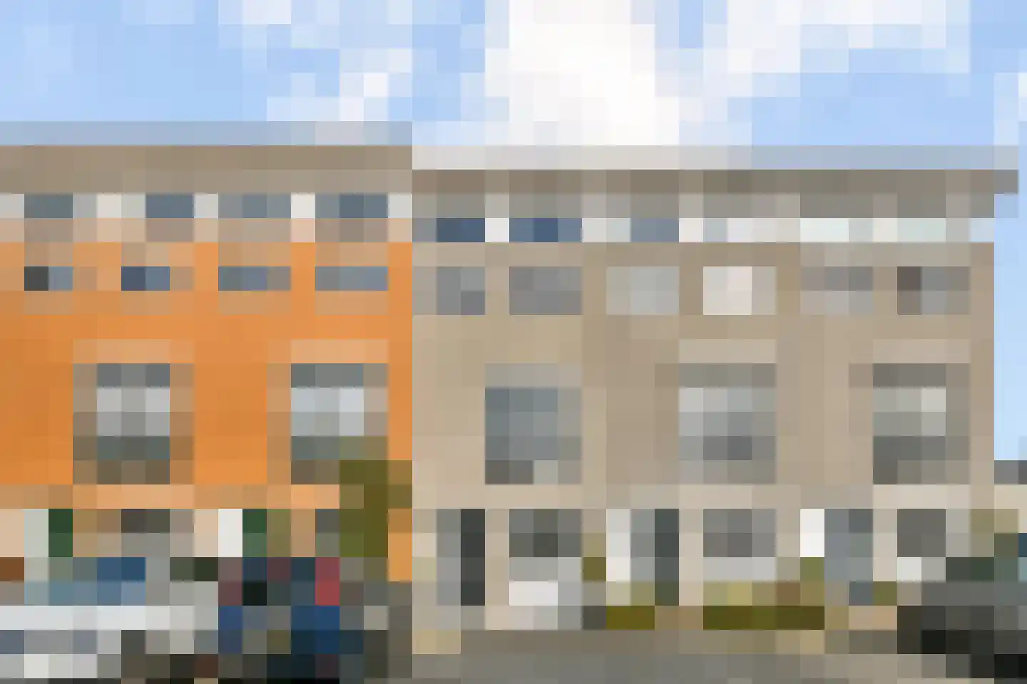 Goudpluvier 11 Landsmeer foto 2