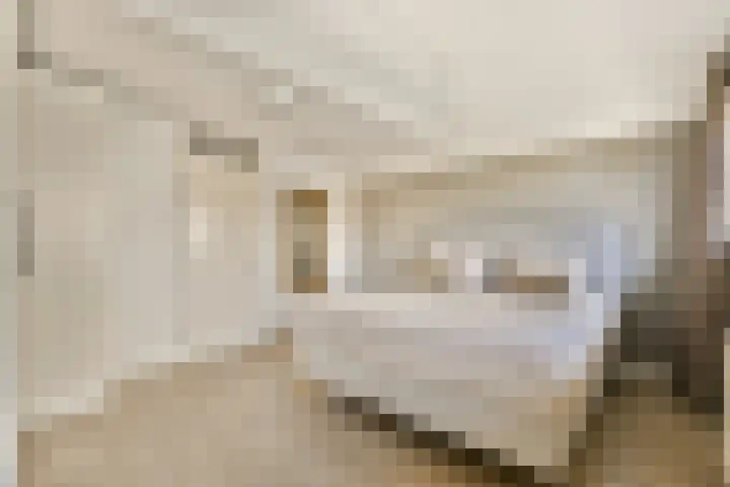 Goudpluvier 11 Landsmeer thumbnail 20