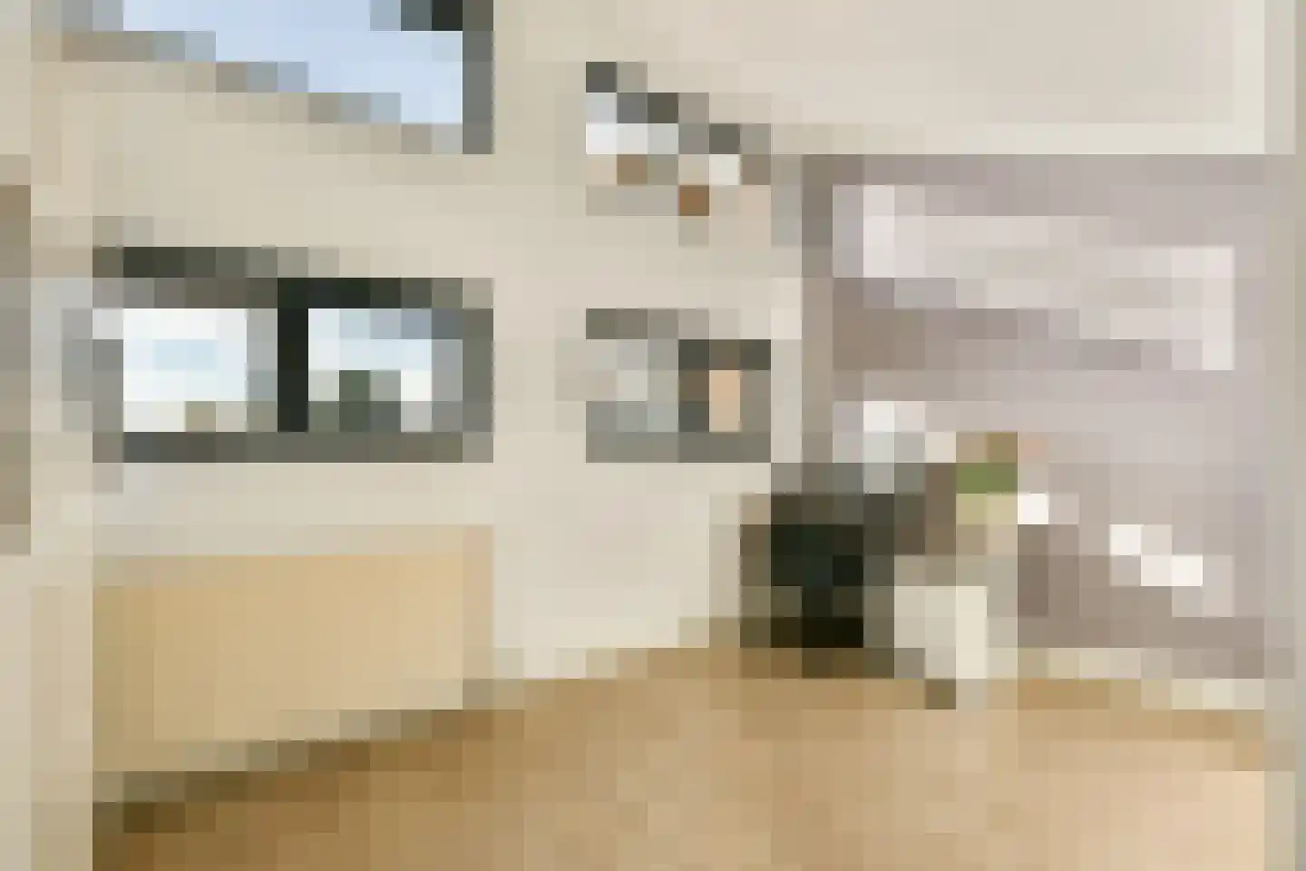 Goudpluvier 11 Landsmeer thumbnail 29