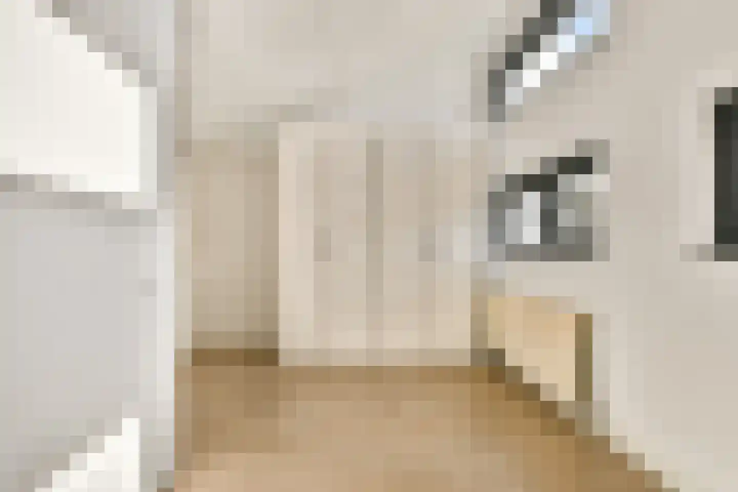 Goudpluvier 11 Landsmeer thumbnail 30