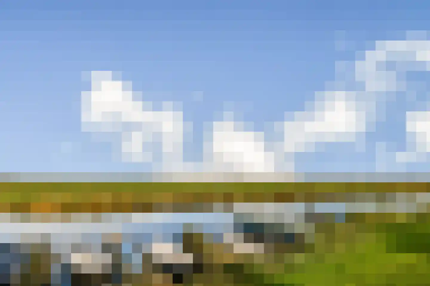 Goudpluvier 11 Landsmeer thumbnail 32