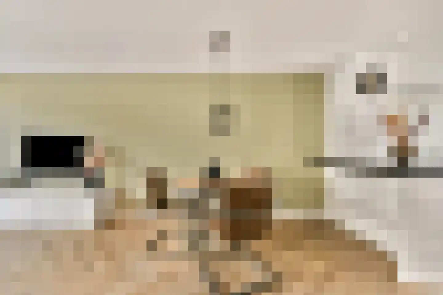 Goudpluvier 11 Landsmeer thumbnail 7