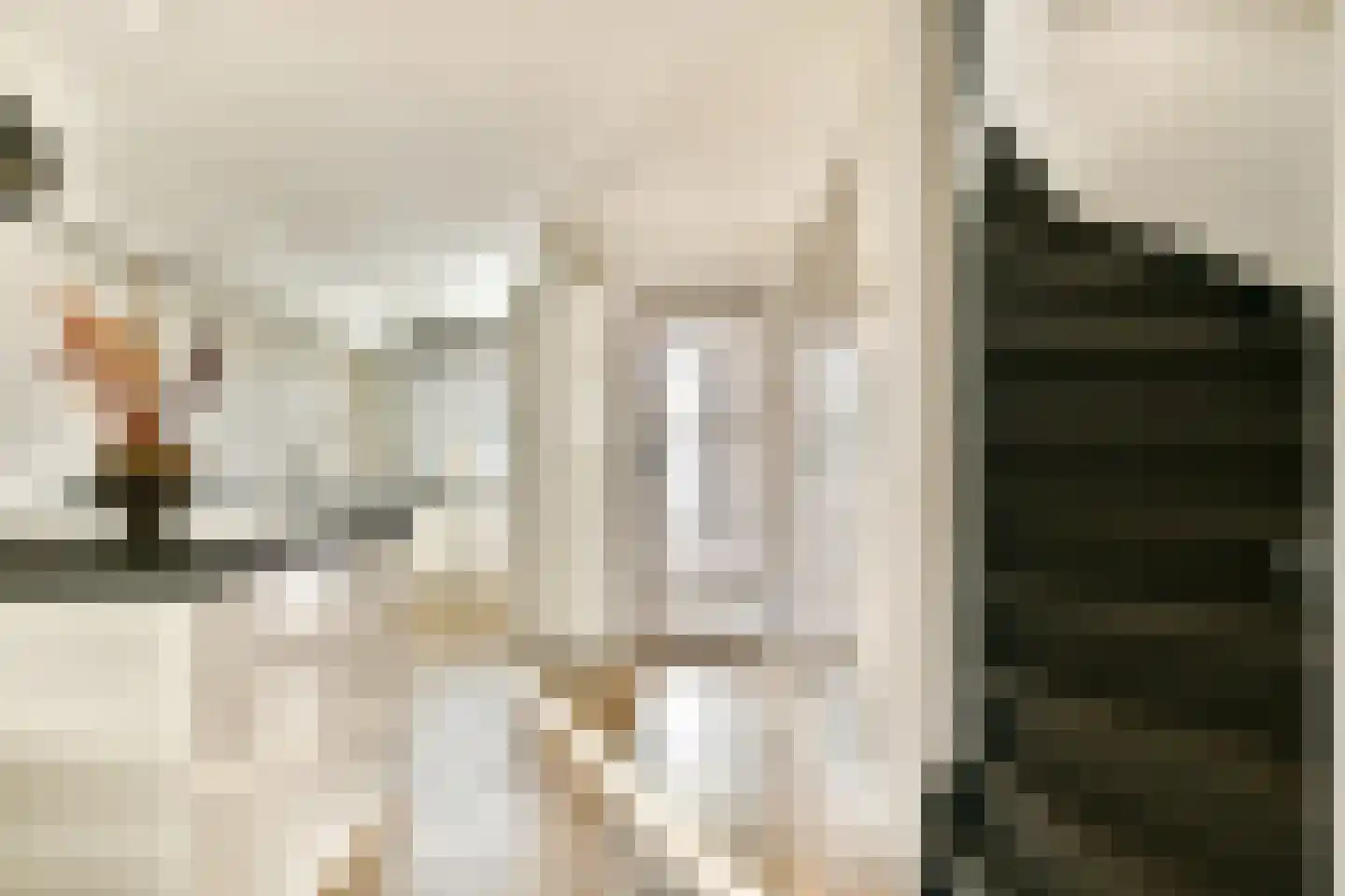 Goudpluvier 11 Landsmeer thumbnail 8