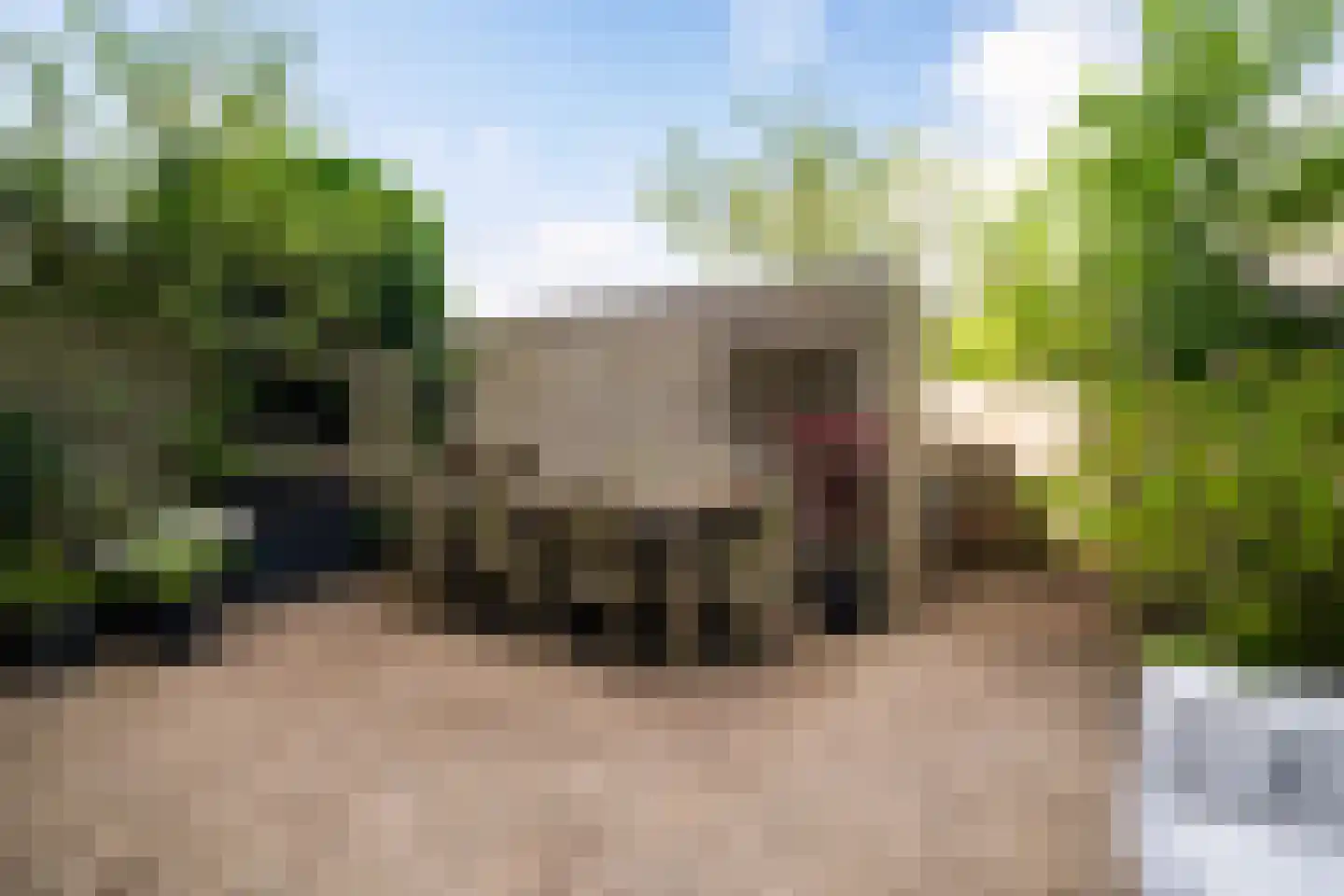 Goudpluvier 39 Landsmeer thumbnail 12