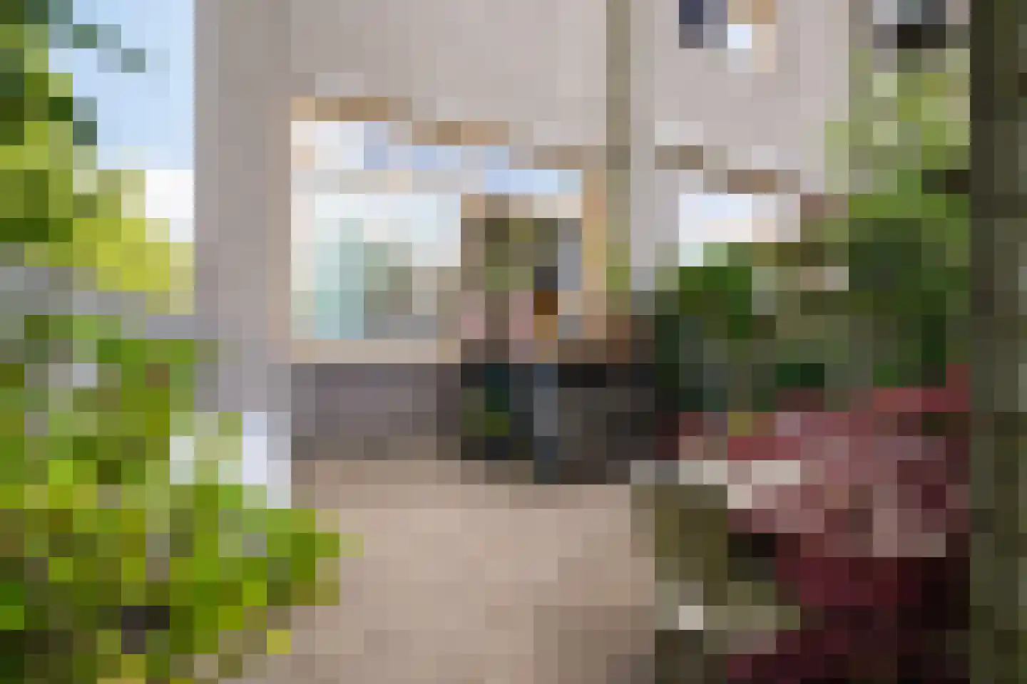 Goudpluvier 39 Landsmeer thumbnail 13