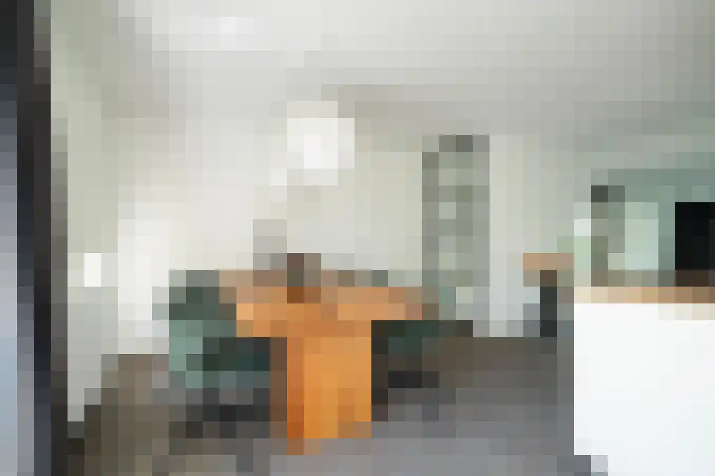 Goudpluvier 39 Landsmeer thumbnail 18