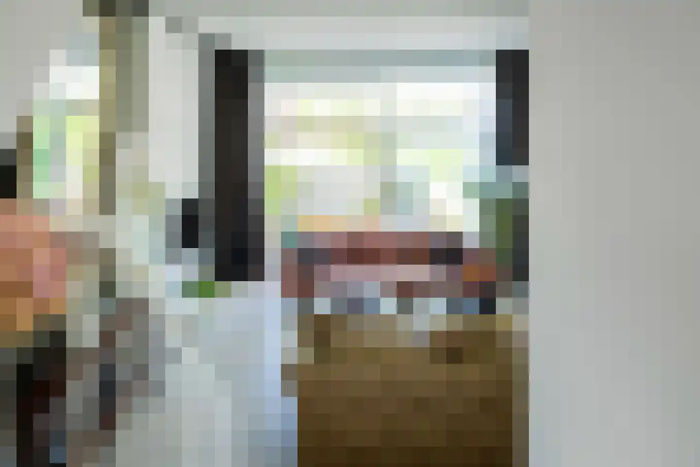 Goudpluvier 39 Landsmeer thumbnail 19