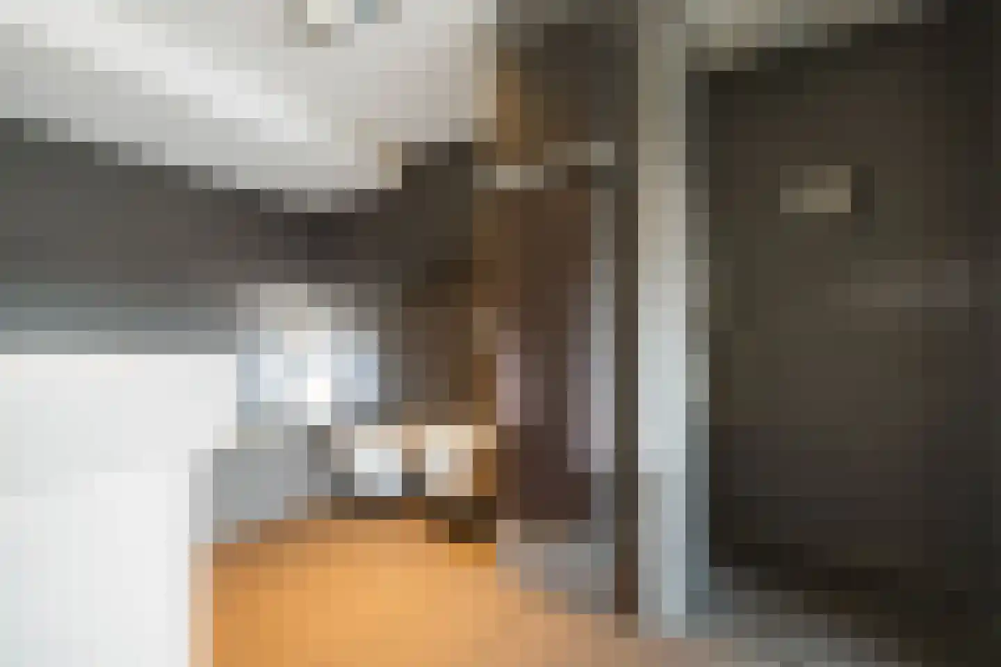 Goudpluvier 39 Landsmeer thumbnail 22