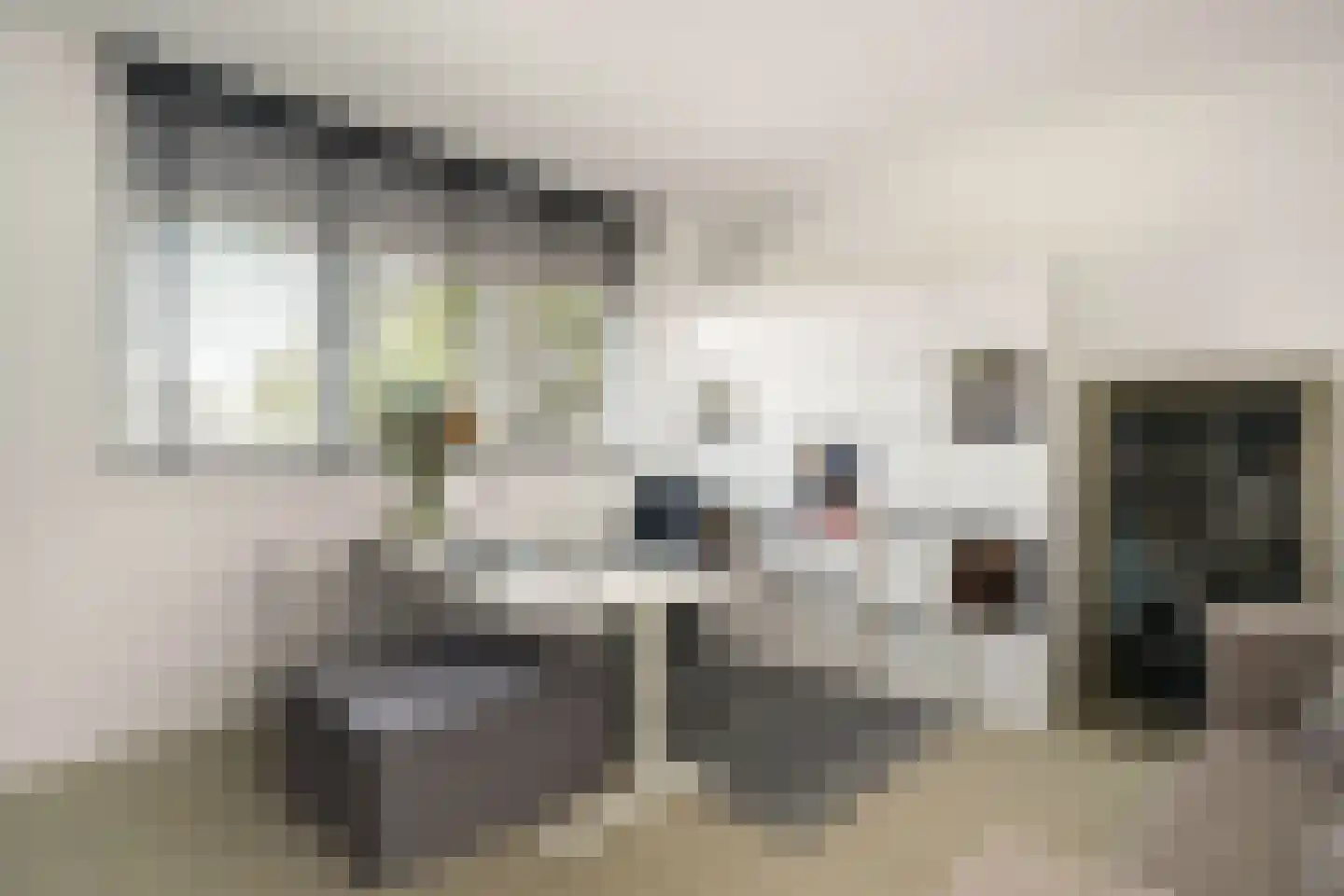 Goudpluvier 39 Landsmeer thumbnail 24
