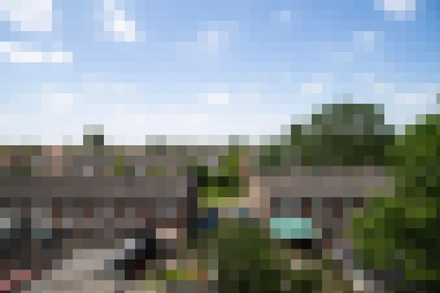 Goudpluvier 39 Landsmeer thumbnail 29