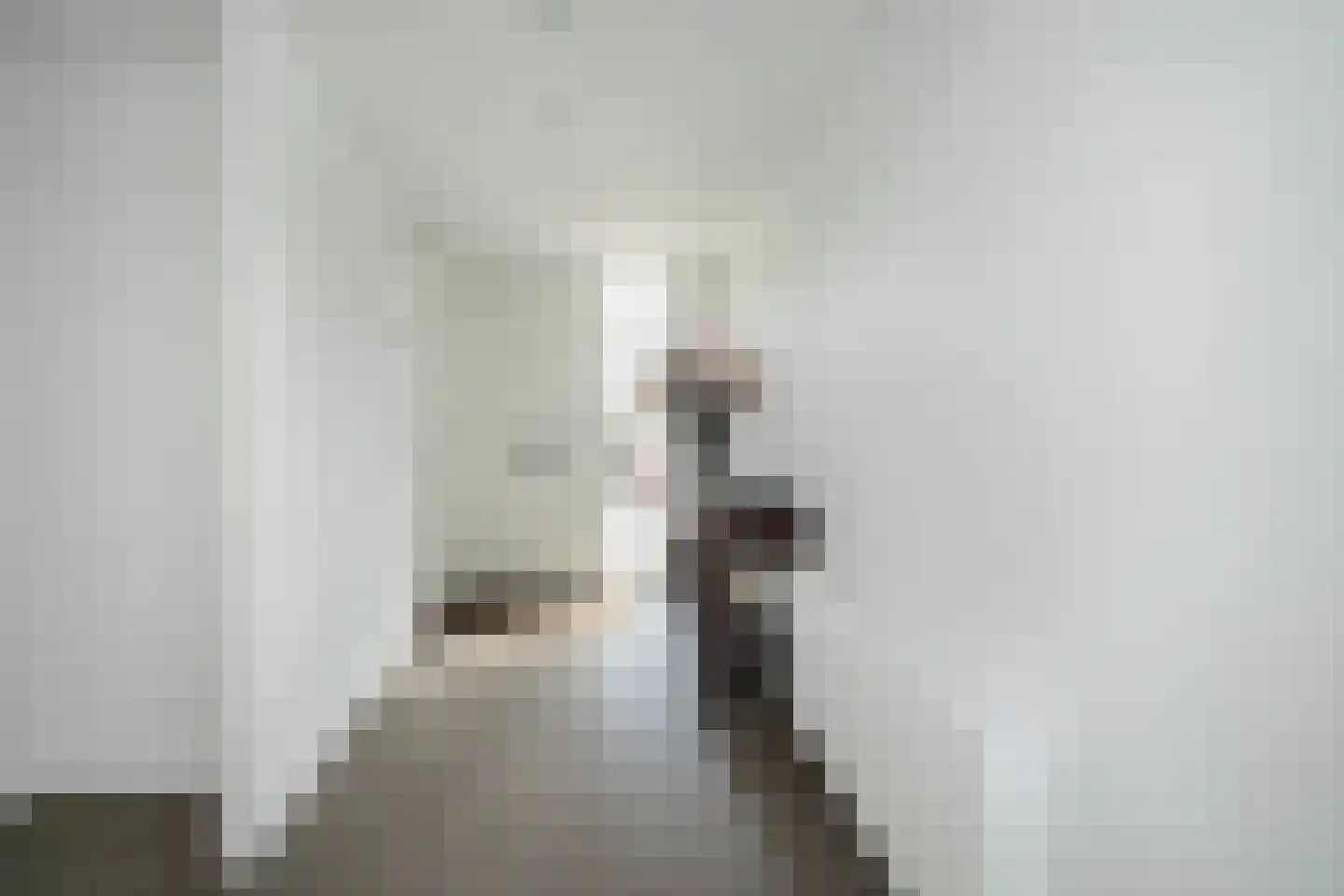Goudpluvier 39 Landsmeer thumbnail 6