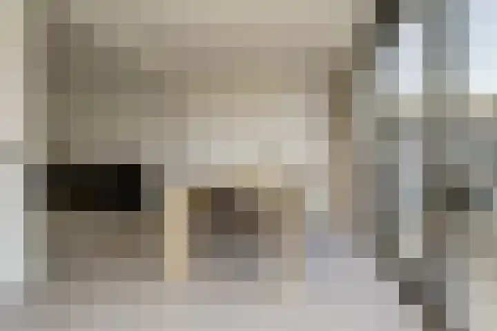 Goudreinet 10 Elst thumbnail 12