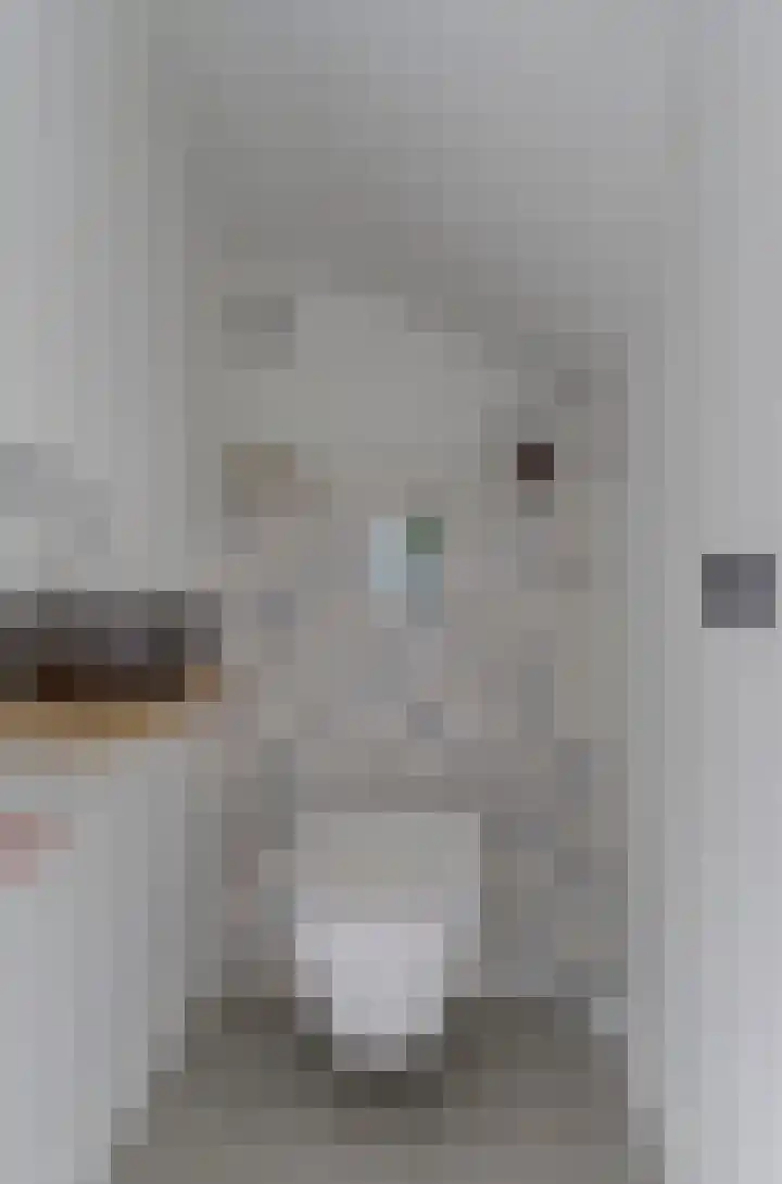 Goudreinet 10 Elst thumbnail 20
