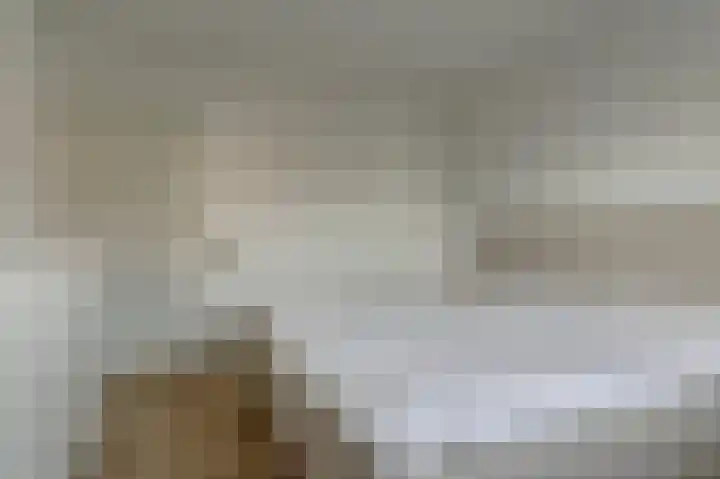 Goudreinet 10 Elst thumbnail 23