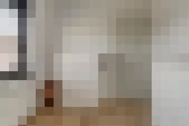 Goudreinet 10 Elst thumbnail 24