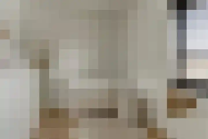 Goudreinet 10 Elst thumbnail 25