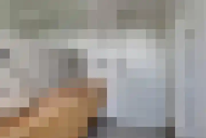 Goudreinet 10 Elst thumbnail 29