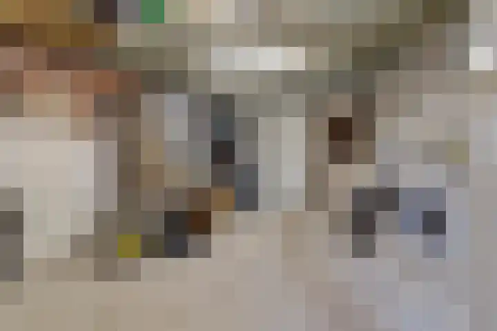 Goudreinet 10 Elst thumbnail 31