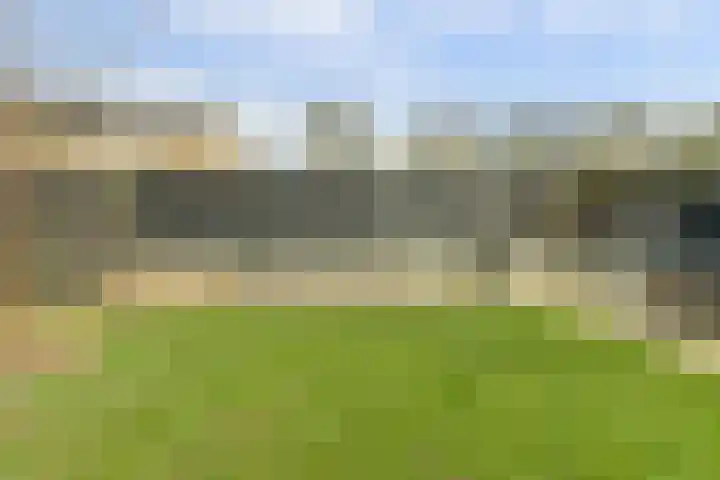 Goudreinet 10 Elst thumbnail 32