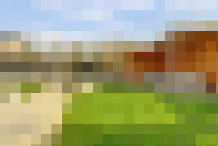 Goudreinet 10 Elst thumbnail 33