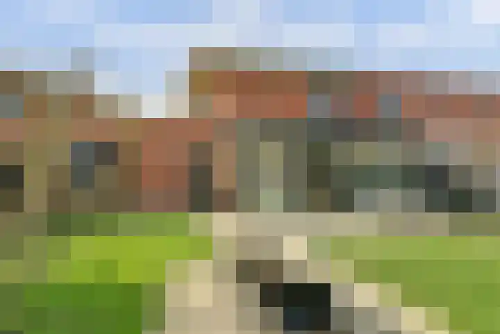 Goudreinet 10 Elst thumbnail 36