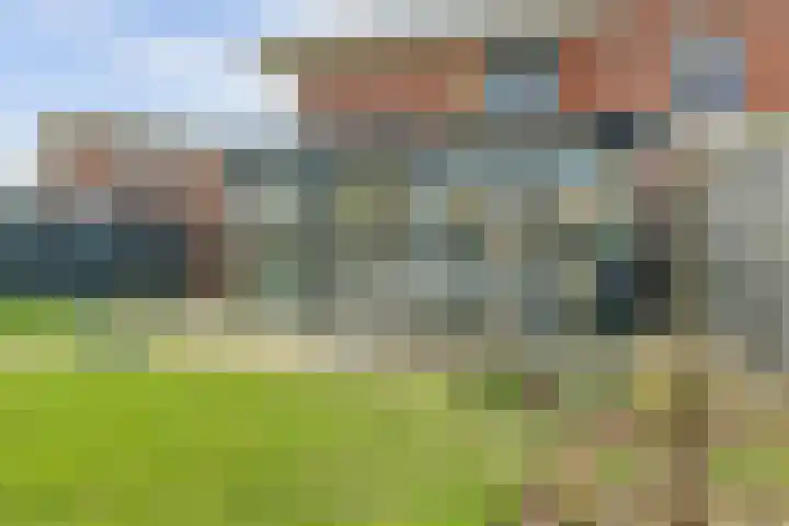 Goudreinet 10 Elst thumbnail 38
